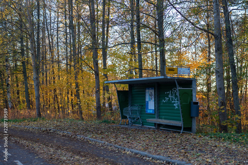 Busstop by the forest