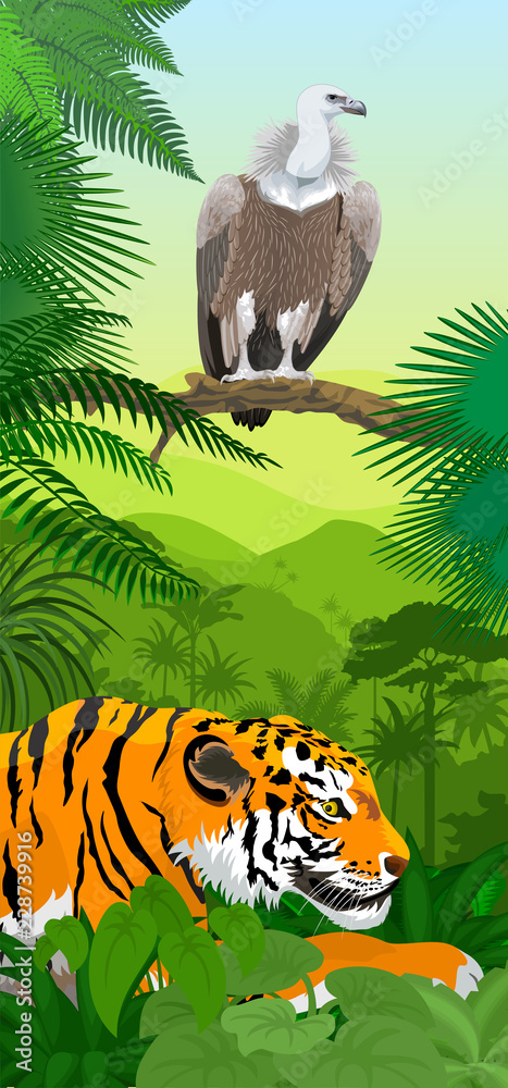 Fototapeta premium Vector Jungle rainforest vertical baner with Griffon vulture and tiger