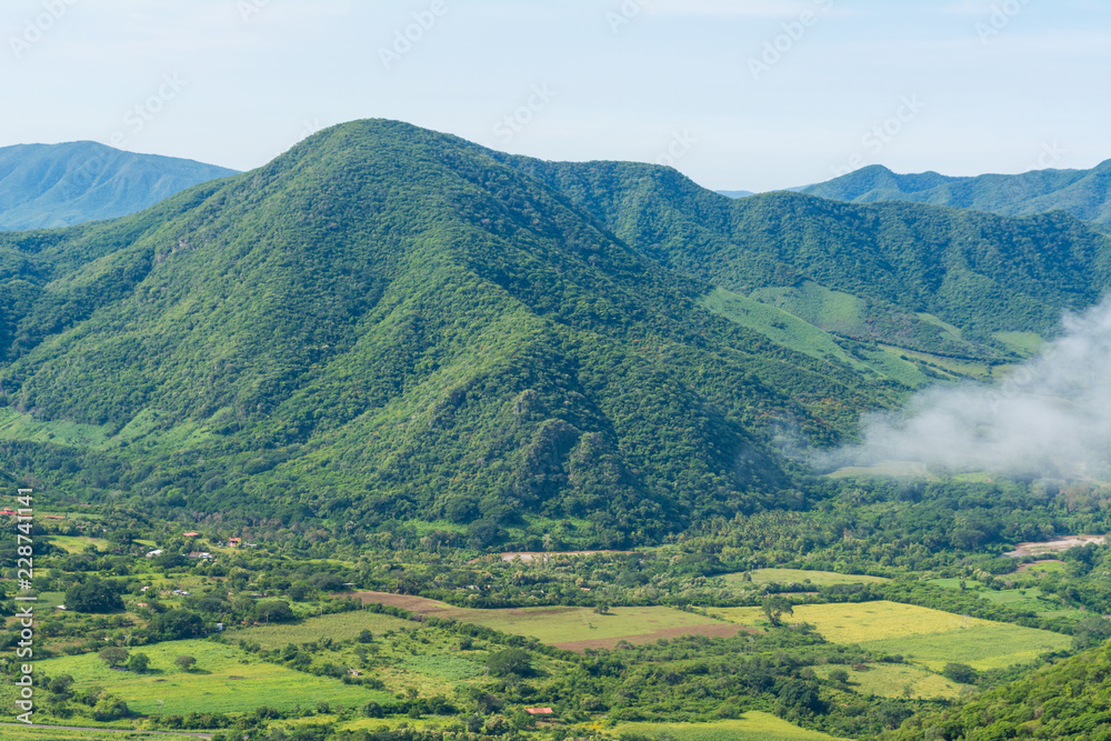 campo cuatro campo cuatro