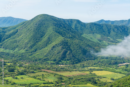 campo cuatro