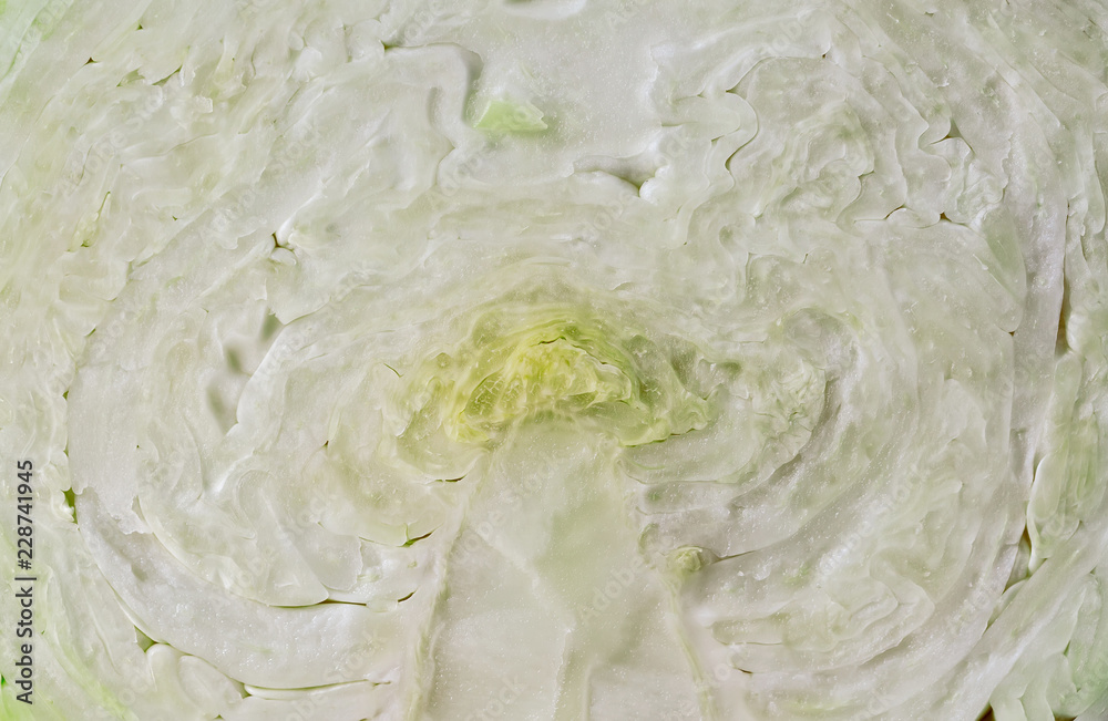 Texture white cabbage Texture white cabbage