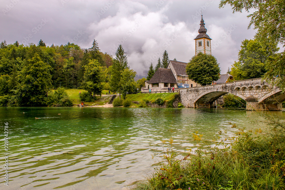 Details from Bohinj lake in national park Triglav - Slovenia