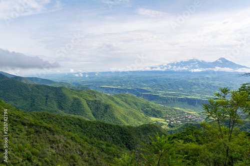 campo cuatro