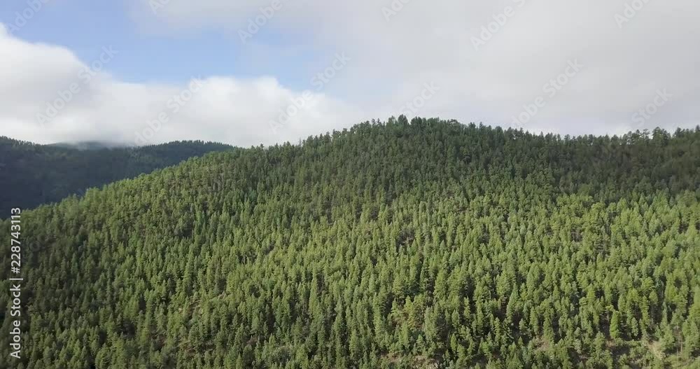 Flying towards Tree Covered Mountain Flying towards Tree Covered Mountain