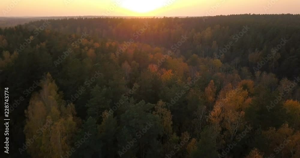 Aerial autumn nature landscape lake and brightly colored forest view Aerial autumn nature landscape lake and brightly colored forest view