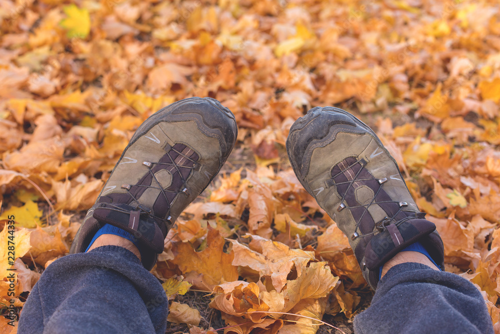Red and Orange Autumn Leaves Background, Feet on a maple leaf carpet Red and Orange Autumn Leaves Background, Feet on a maple leaf carpet