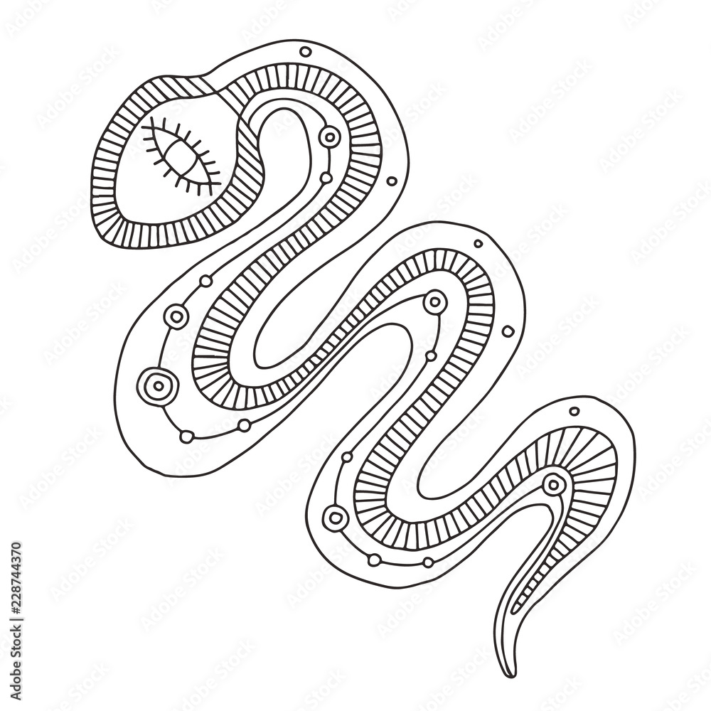 Vector hand drawn black and white illustration of isolated snake with decorative geometrical elements, lines, dots. Picture for coloring. Line drawing. Graphic illustration. Vector hand drawn black and white illustration of isolated snake with decorative geometrical elements, lines, dots. Picture for coloring. Line drawing. Graphic illustration.
