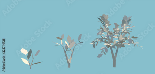 3D Eco Tree Stages of Growth. Life Cycle of a White Tree on Blue Background Rendering