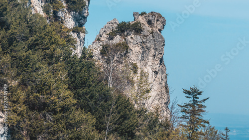 Beautiful alpine view on the Hochfelln - Bergen - Bavaria - Germany photo