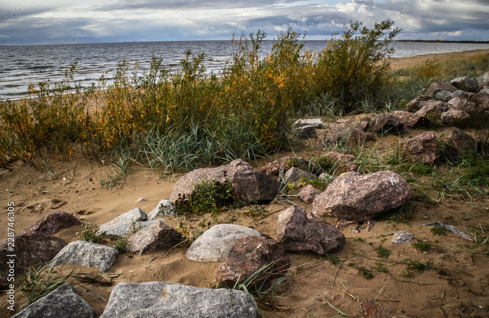 North sea, Gulf of Finland, beach, North sea, Gulf of Finland, beach,