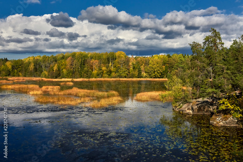 Fototapeta Naklejka Na Ścianę i Meble -  Autumn at the lake - Sweden, Stockholm, around the Bagarmossen district