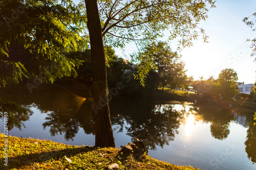 autumn in the park