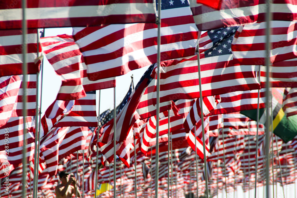 Many USA flags