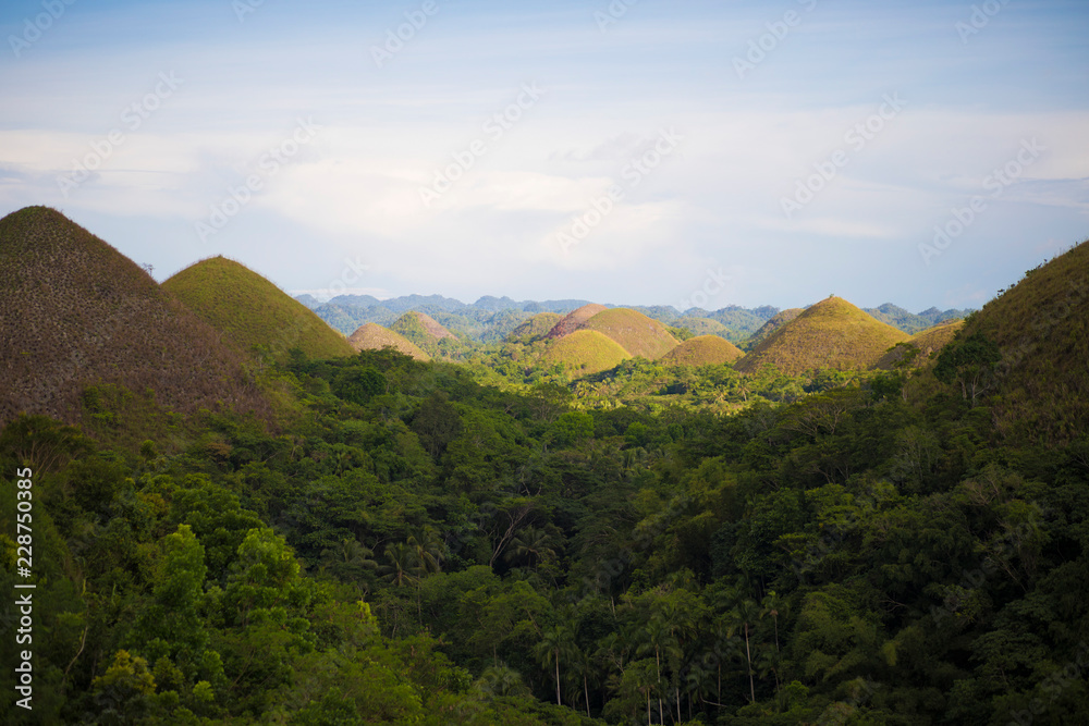 Fototapeta premium Chocolate Hills 