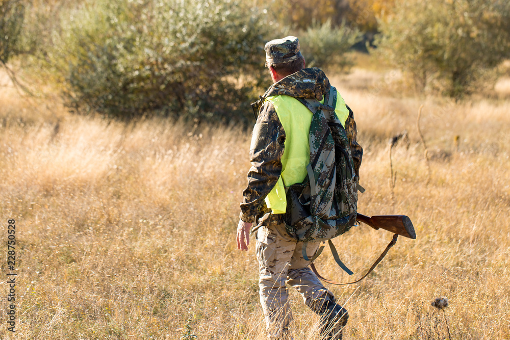 Hunters with a german drathaar and spaniel, pigeon hunting with dogs in reflective vests Hunters with a german drathaar and spaniel, pigeon hunting with dogs in reflective vests