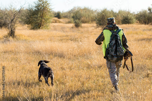 Hunters with a german drathaar and spaniel, pigeon hunting with dogs in reflective vests