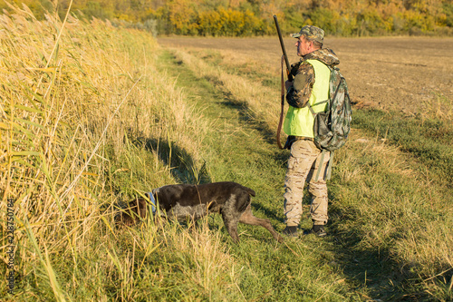 Hunters with a german drathaar and spaniel  pigeon hunting with dogs in reflective vests