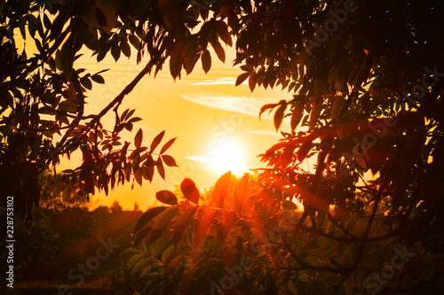 Sunset 1