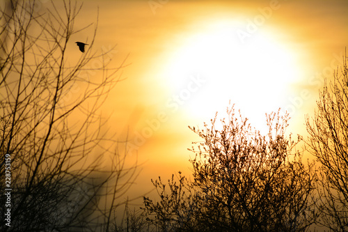 Sunset 3