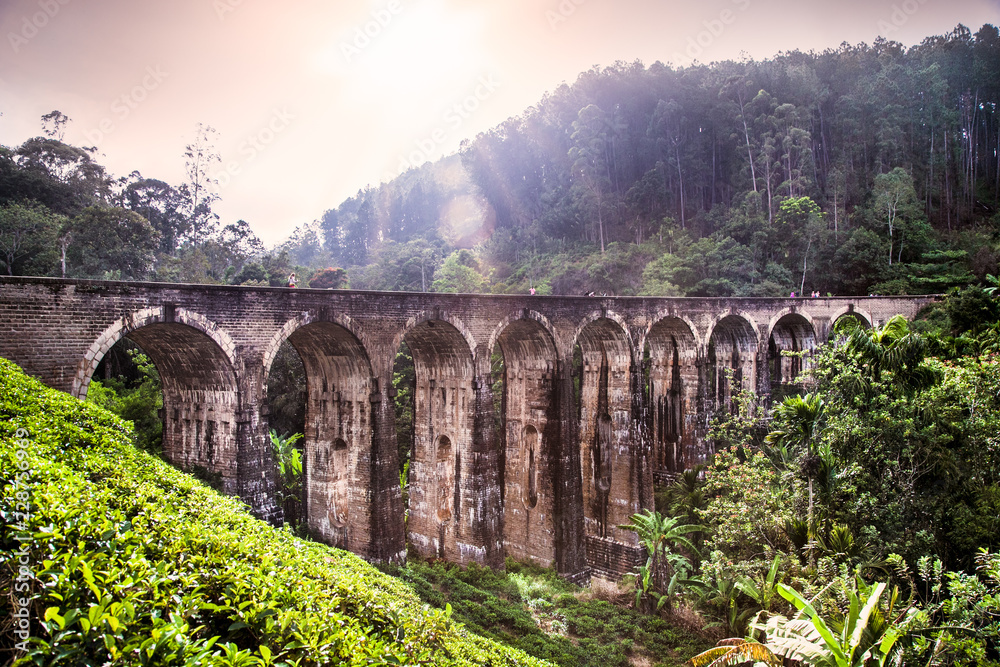 Viaduct named Nine Arches Bridges near the town of Ella, Sri Lanka