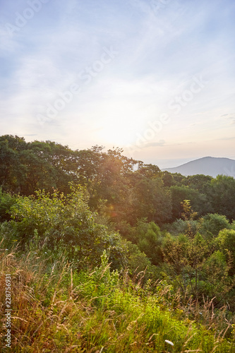 landscape with mountains and trees