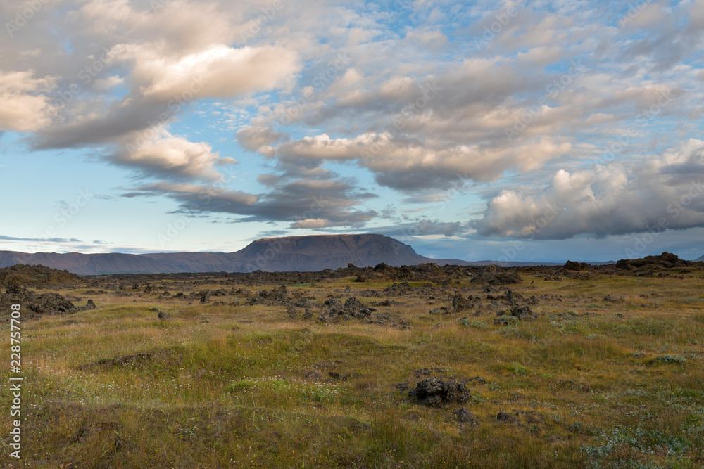 Beautiful panorama of the amazing volcanic mossy landscape of Eldhraun at sunrise in Iceland
