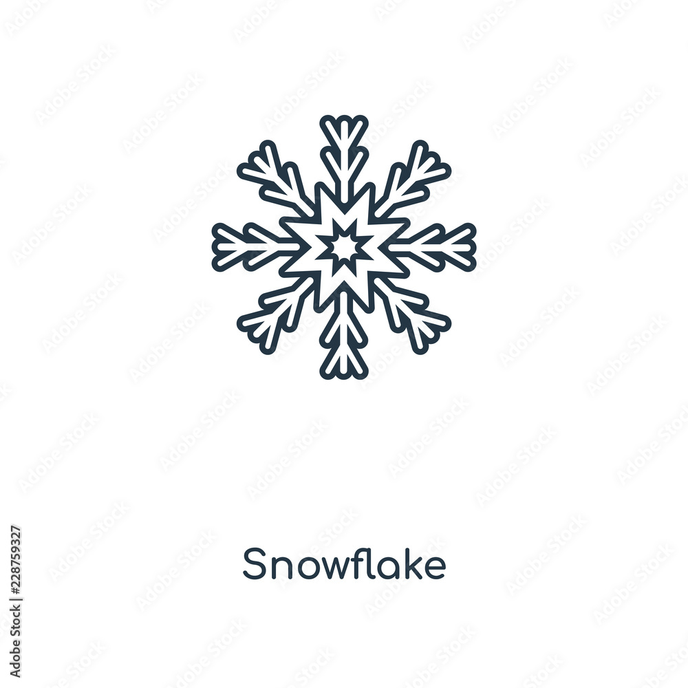 snowflake icon vector