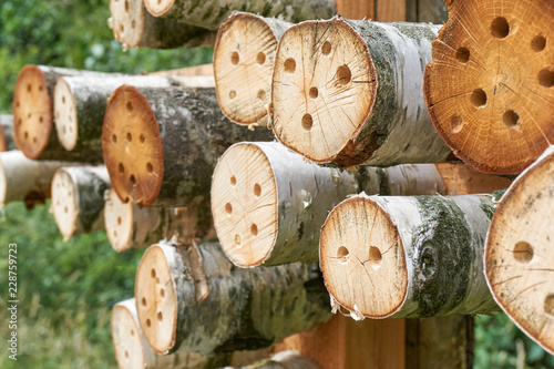 Close-up of a bee hotel or insect hotel a manmade structure created to provide shelter for insects in a variety of tree logs photo