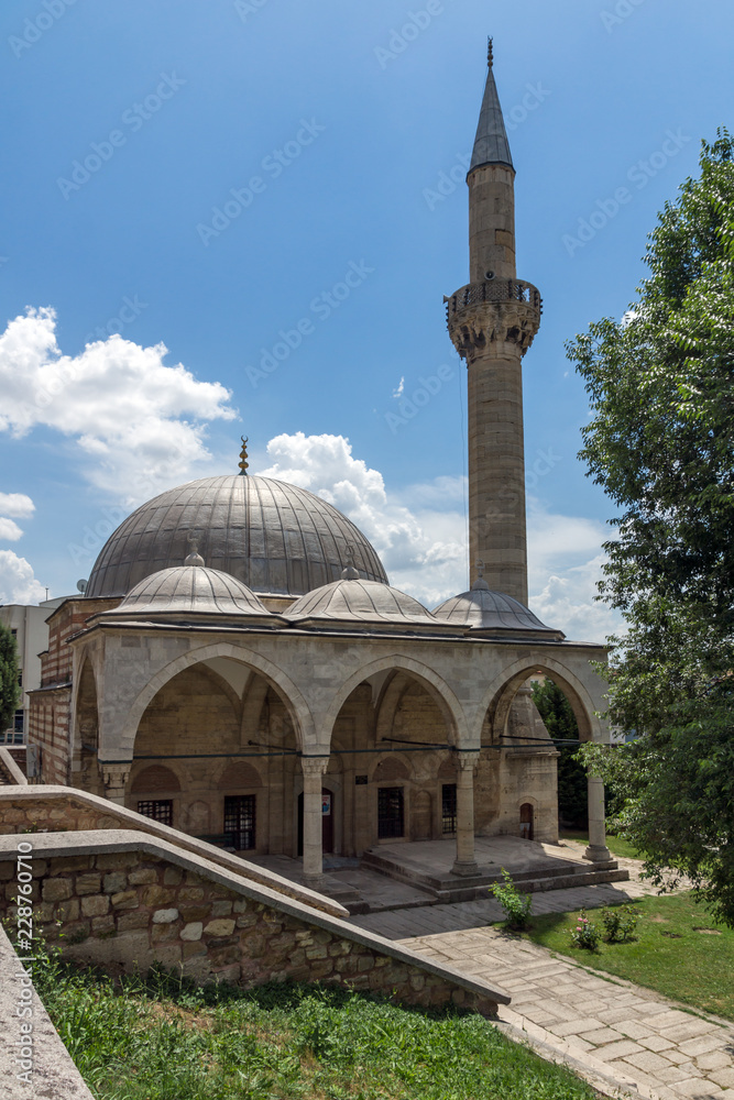 Fototapeta premium Defterdar Mustafa Pasha Mosque in city of Edirne, East Thrace, Turkey