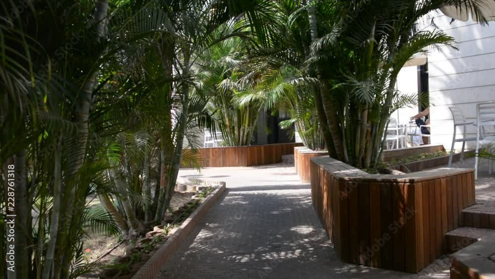Tropical green tree and beach on the path in hotel Tropical green tree and beach on the path in hotel