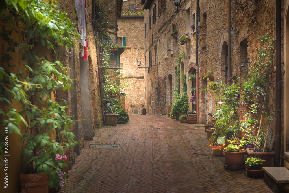 Fototapeta Majestatyczna tradycyjna dekorująca ulica z kolorowymi kwiatami i wiejskimi nieociosanymi domami, Pienza, Tuscany, Włochy, Europa