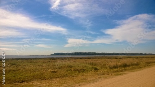 campo y viento