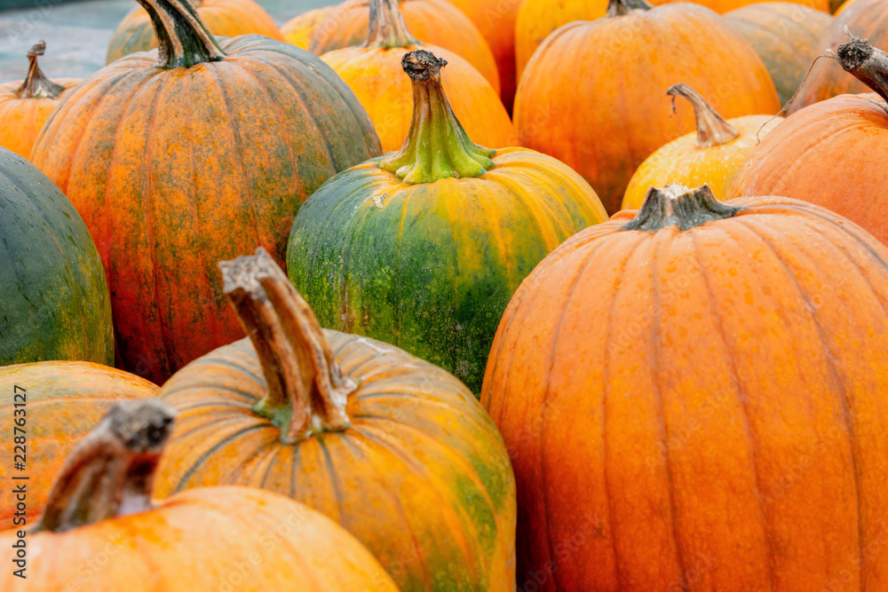 Closeup of pumpkins in variety of shapes, sizes and colors