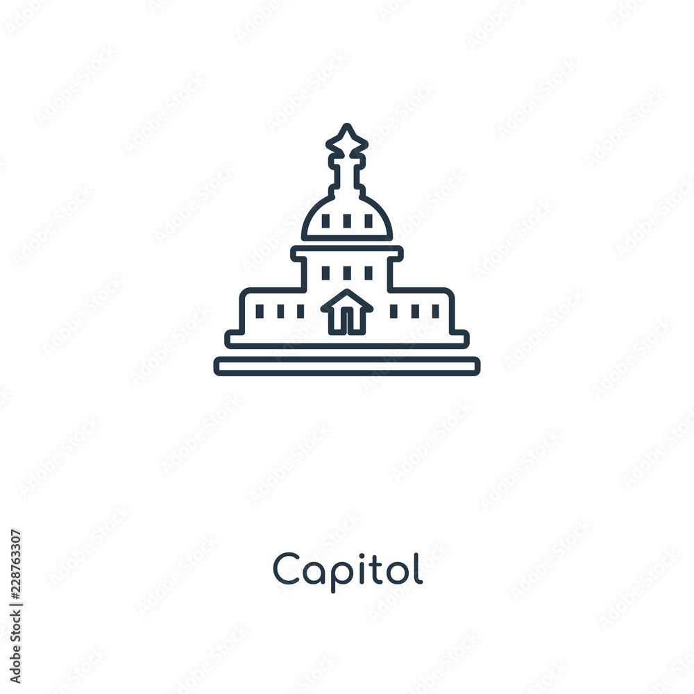 capitol icon vector