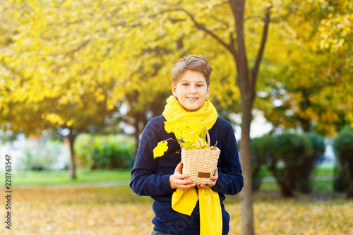 boy holds beige basket with  bouquet of yellow leaves in hands on fallen leaves background. autumn mood beautiful day. Golden fall in still life. Bright Fall image.  