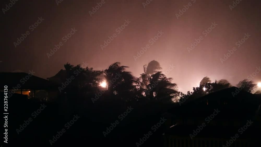 Gusty winds blowing palm trees silhouette at night during torrential rains. Stadium floodlights in the background