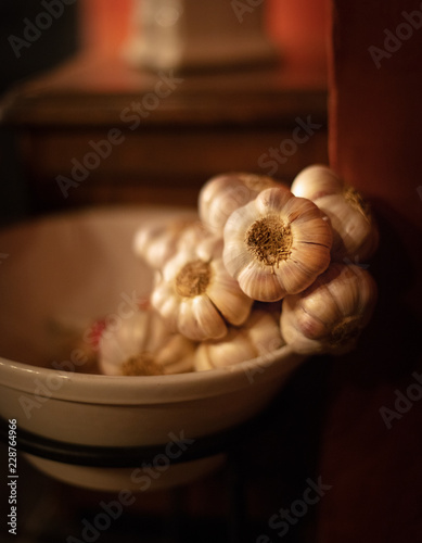 Garlic