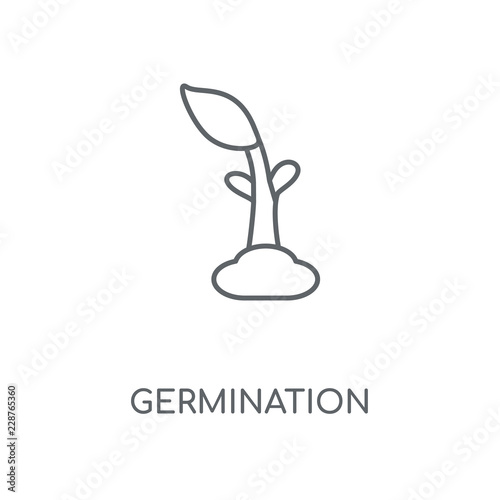 germination icon