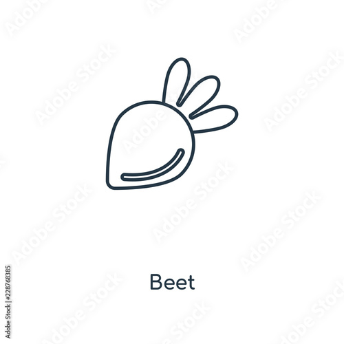 beet icon vector