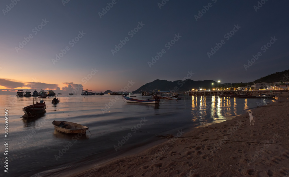 Obraz premium pier at night