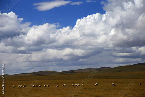 Western China