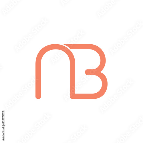 letters nb linked logo vector