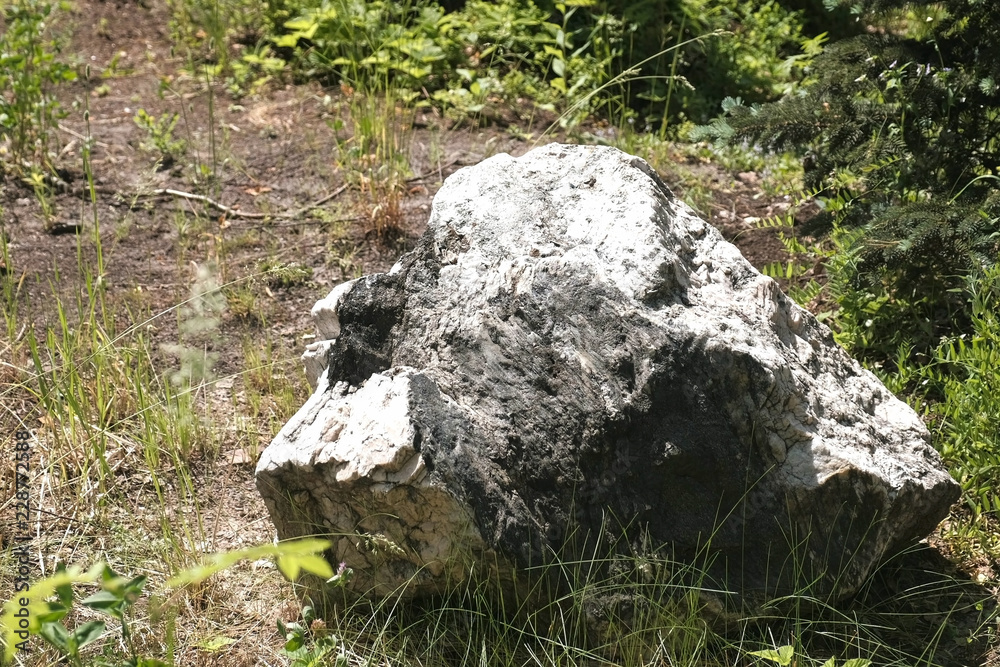 Large stone. Landscape design in the outdoor. Large stone. Landscape design in the outdoor.