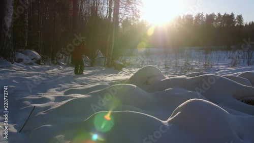 Winter forest trail with a finnish man skiing with a dog in sinny weather photo