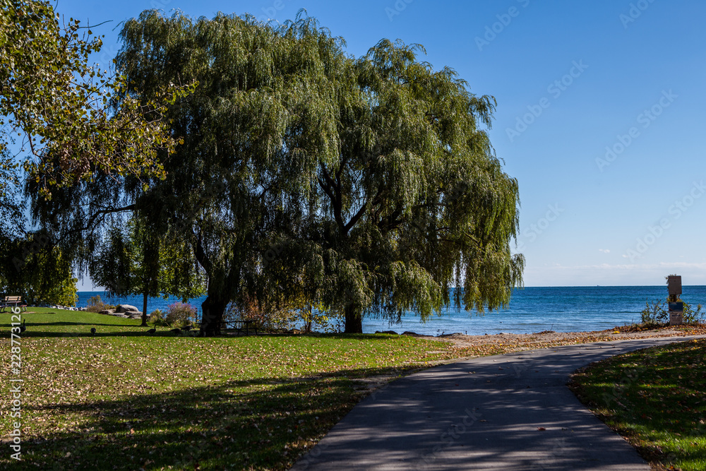 Hamilton, CANADA - October 16, 2018: colorful sunny autumn full of colors in the park near Lake Ontario Hamilton, CANADA - October 16, 2018: colorful sunny autumn full of colors in the park near Lake Ontario