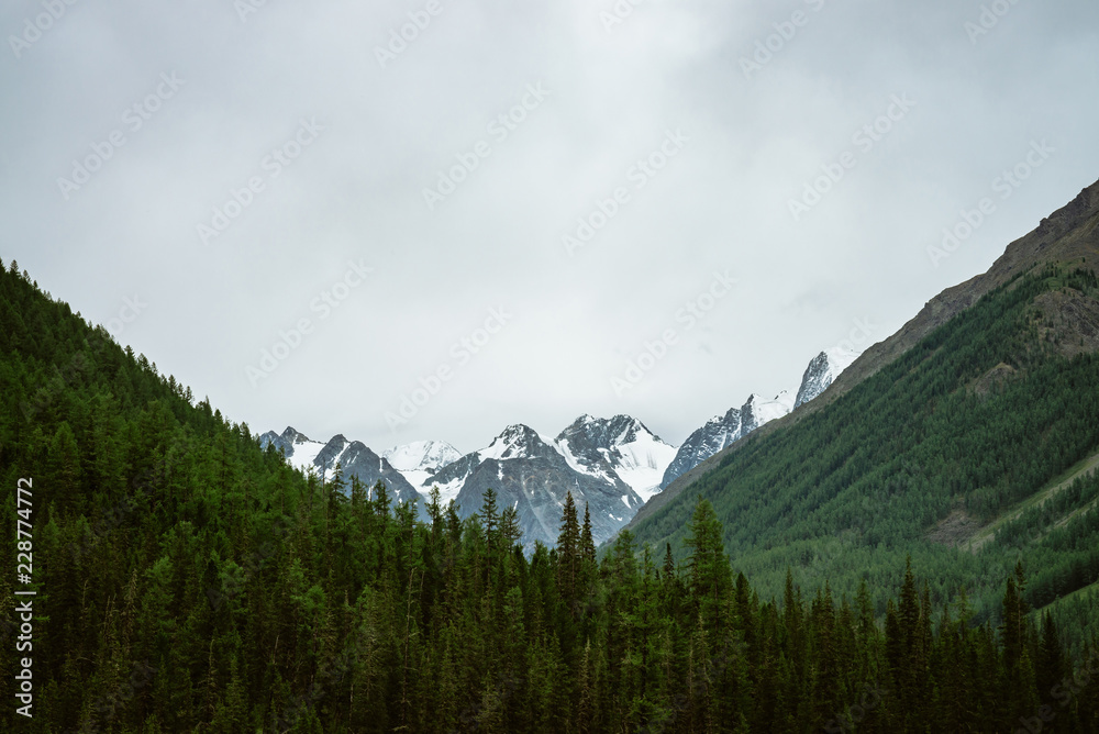 Snowy mountain top between big mountains under overcast sky. Rocky ridge in overcast weather above forest. Giant glaciers. Atmospheric minimalist landscape of majestic nature.