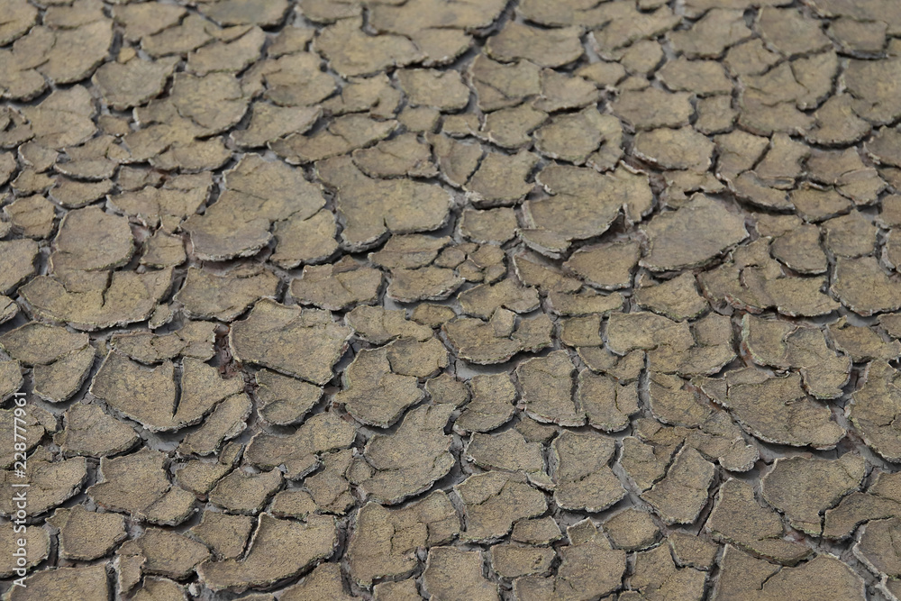 Cracked soil dry earth texture,background Cracked soil dry earth texture,background