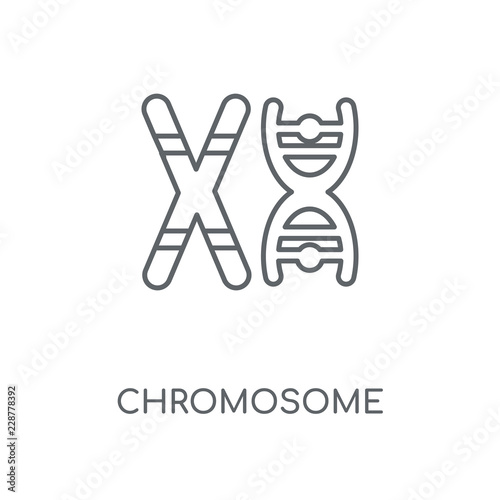 chromosome icon