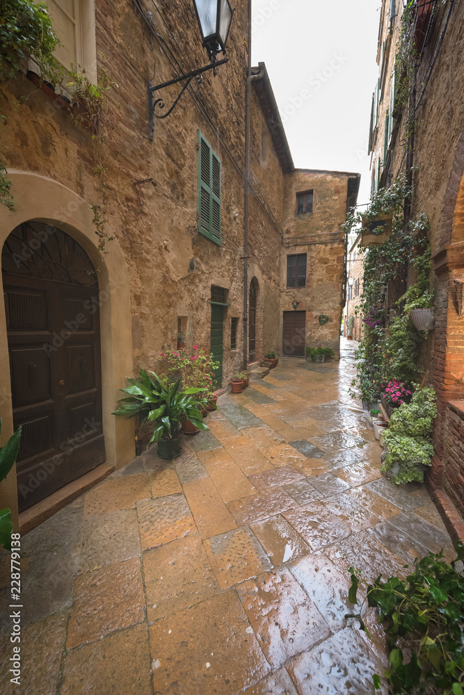 Majestic traditional decorated street with colorful flowers and rural rustic houses, Pienza, Tuscany, Italy, Europe