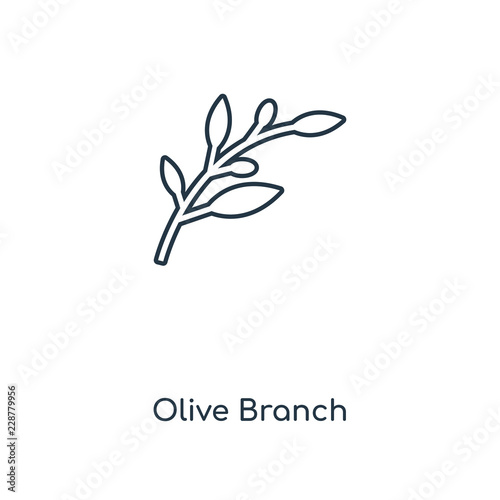 olive branch icon vector